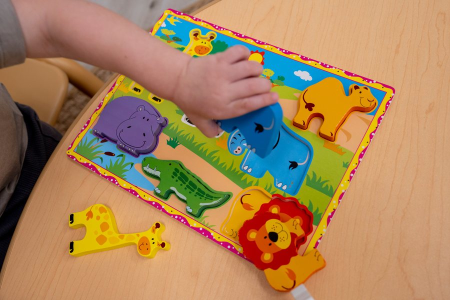 A child's hands completing an animal puzzle
